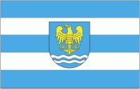 Flaga gminy godów